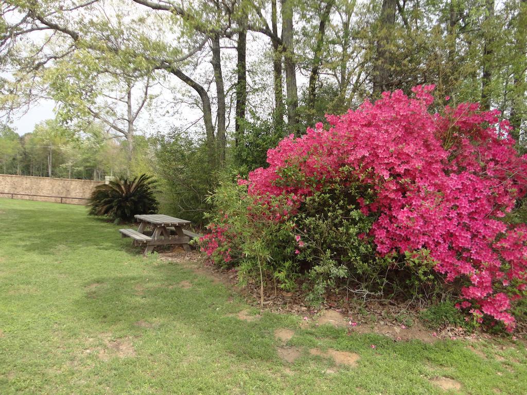 Garden Inn And Suites Silsbee エクステリア 写真